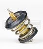 First Line FTK339 Thermostat, coolant