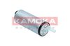 8410003_D.JPG