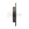 Fahren Brake Disc FBD6296