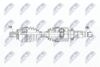 NPW-FR-086_9-WM.PNG