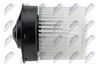EWN-NS-002_3-WM.JPG