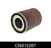 CNS12267_635007.JPG