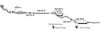 070438.JPG