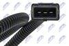 ECP-FT-004_3-WM.JPG