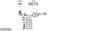 SYS27205.JPG