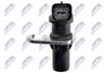 ECP-CT-005_4-WM.JPG