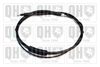 QH_BC3611.JPG