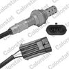 LS130167.JPG