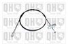 QH_BC4369.JPG