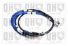 QH_BC3637.JPG