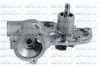 N569.BMP
