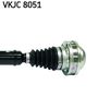 VKJC 8051_3.JPG