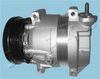 CMP2010918_1.JPG