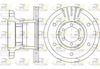 6894-10-MODEL.BMP