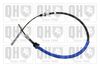 QH_BC4610.JPG