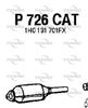 P726CAT.JPG