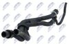cpp-vw-015_2-wm.JPG
