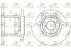 6243-00-MODEL.BMP