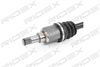 13628926_64.JPG