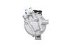 366201681_BACK_TD_1.JPG