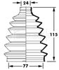 BCB6007_291977.JPG