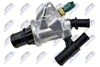 CTM-FT-002_4-WM.JPG