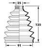 BCB2377_235707.JPG