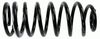 0032994015.JPG