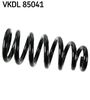 VKDL 85041.JPG