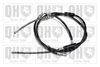 QH_BC2197.JPG