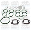 01645.JPG
