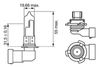 Bosch Bulb, front fog light 1 987 301 063