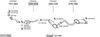 SYS10560.JPG