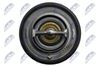 CTM-TY-003_4-WM.JPG