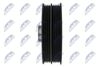 RKP-TY-016_3-WM.JPG