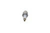 BOSCH Spark Plug F 01A 216 733