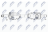 NPW-KA-354_9-WM.PNG