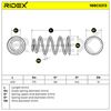 RIDEX