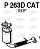 P263DCAT.JPG