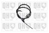 QH_BC3911.JPG