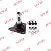 KYB-KBJ4425.JPG