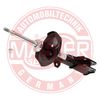 317110-PCS-MS.JPG