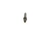 Bosch Nozzle and Holder Assembly 0432133821