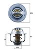 Mahle TX 179 89D Thermostat, coolant