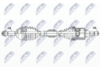 NPW-NS-146_9-WM.PNG