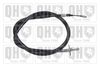 QH_BC3794.JPG