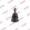 KYB-KBJ4334.JPG