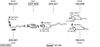 SYS11891.JPG
