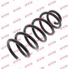Kayaba Suspension Spring RG6520