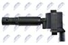 ECZ-ME-004_3-WM.JPG